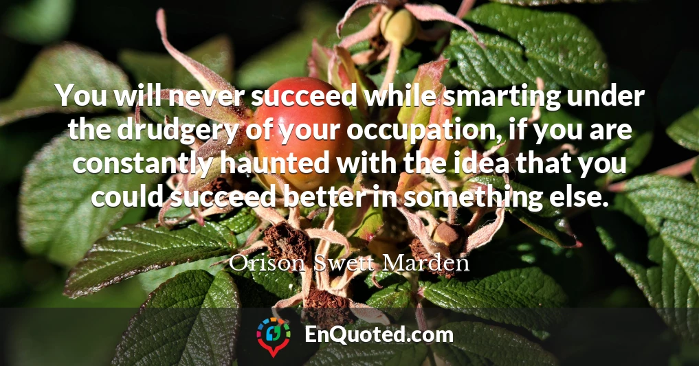 You will never succeed while smarting under the drudgery of your occupation, if you are constantly haunted with the idea that you could succeed better in something else.