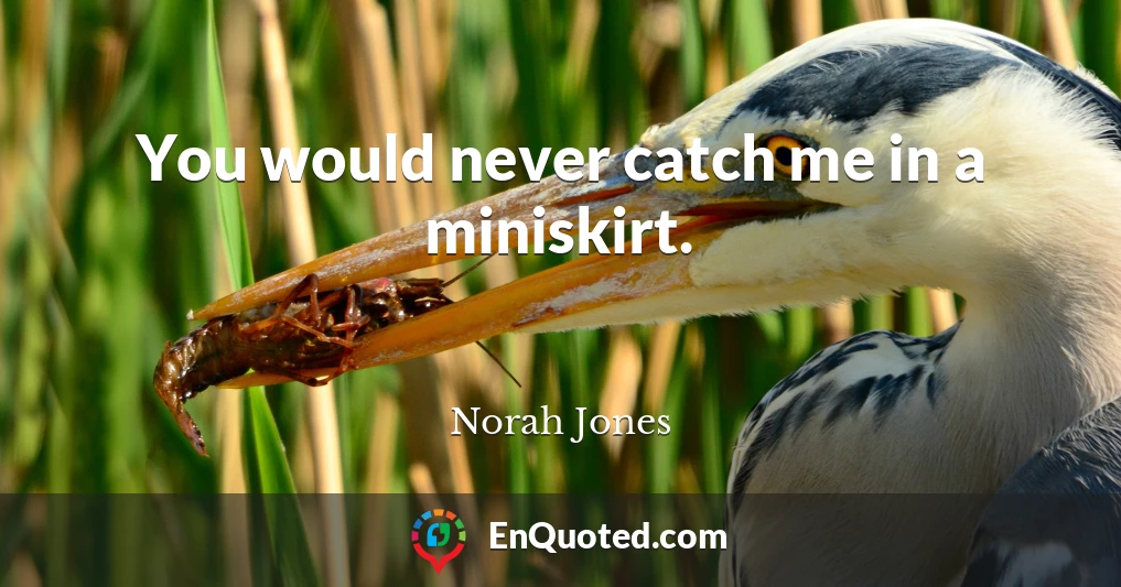 You would never catch me in a miniskirt.