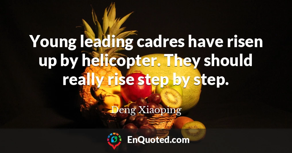 Young leading cadres have risen up by helicopter. They should really rise step by step.