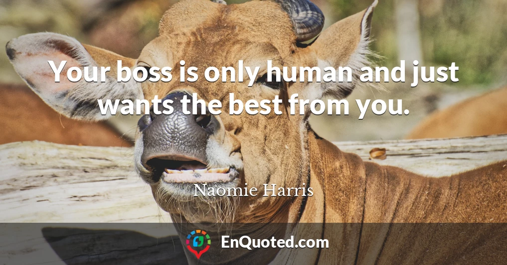 Your boss is only human and just wants the best from you.