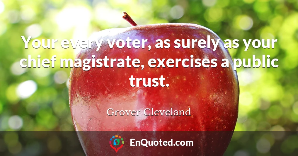 Your every voter, as surely as your chief magistrate, exercises a public trust.