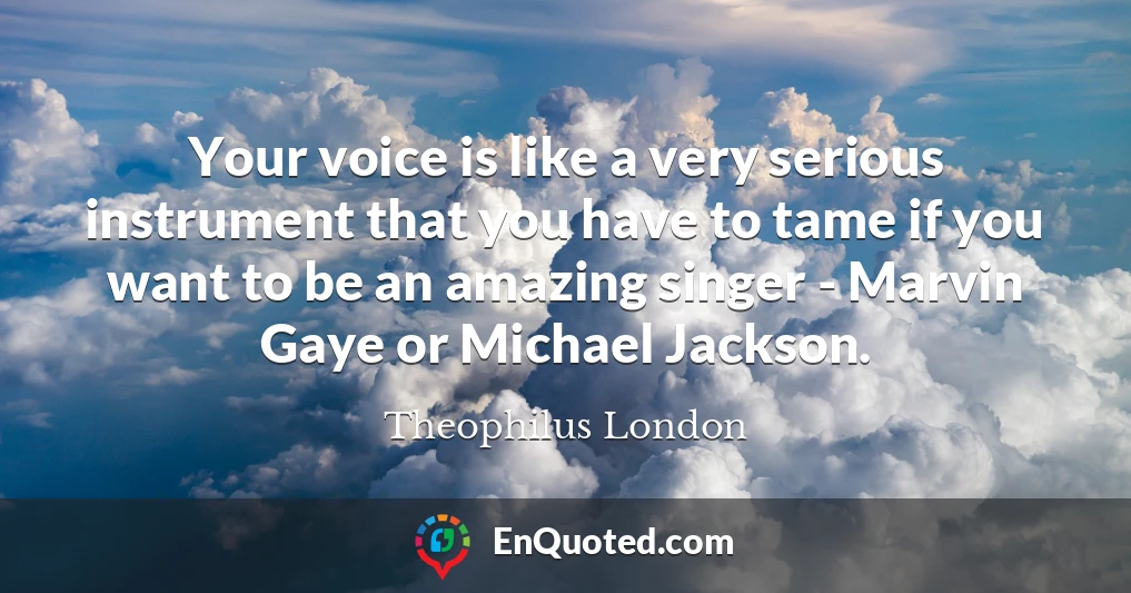 Your voice is like a very serious instrument that you have to tame if you want to be an amazing singer - Marvin Gaye or Michael Jackson.