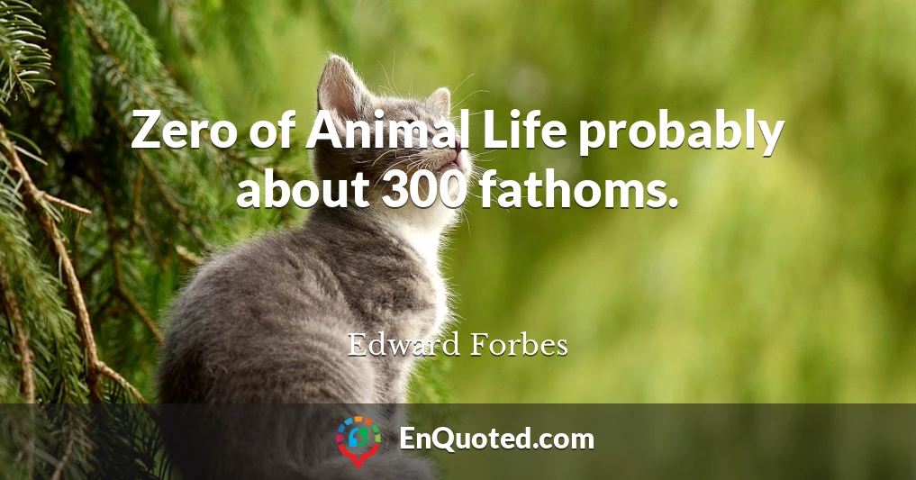Zero of Animal Life probably about 300 fathoms.